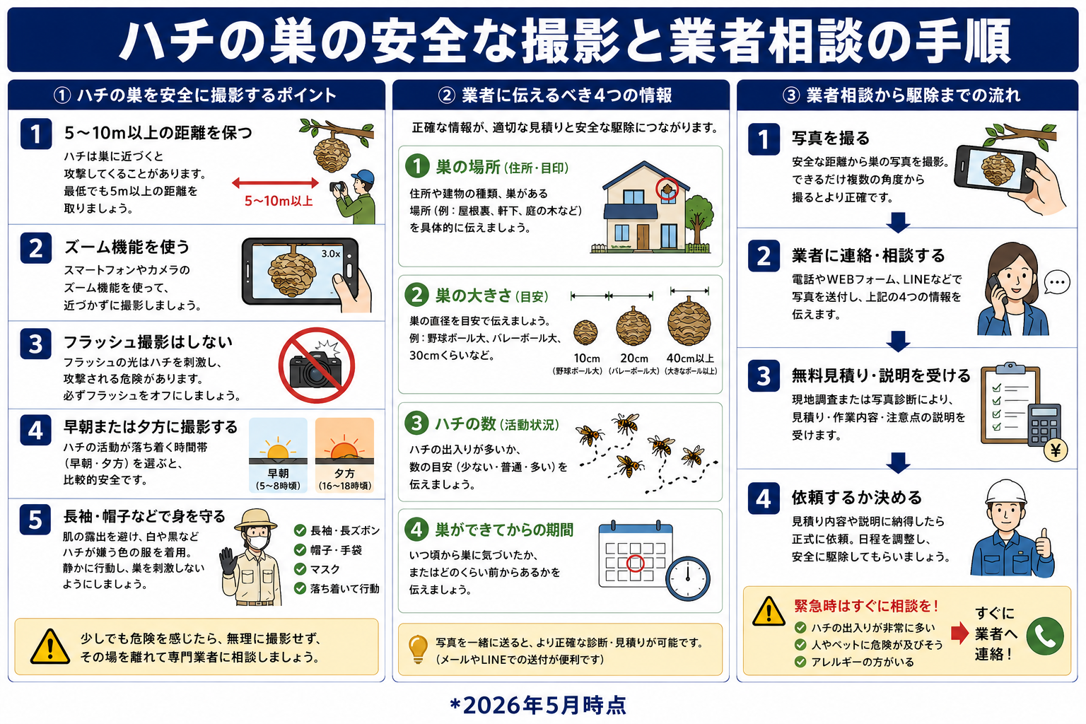 ハチの巣の写真撮影と業者への相談方法