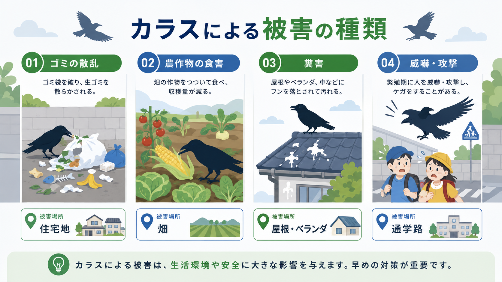 カラスの特徴と被害の種類