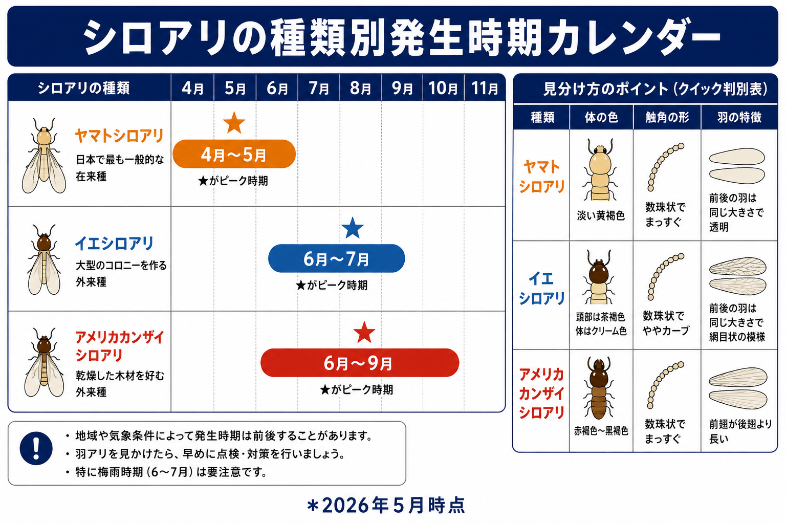 シロアリ発生時期は何月？羽アリが飛ぶ季節と秋冬の活動パターン