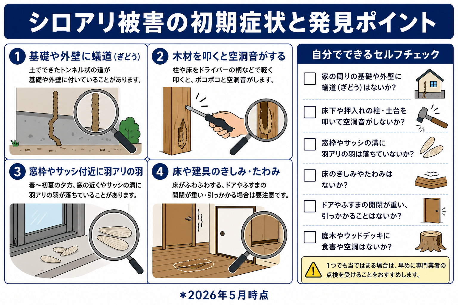 シロアリの季節別活動パターン
