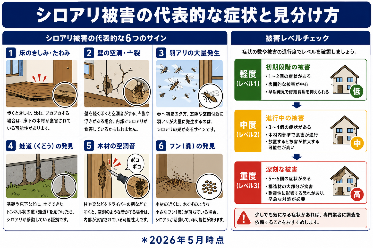 シロアリ被害の代表的な症状