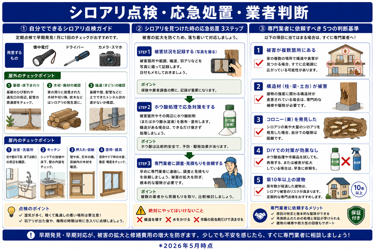 シロアリ発見時の応急処置ステップ