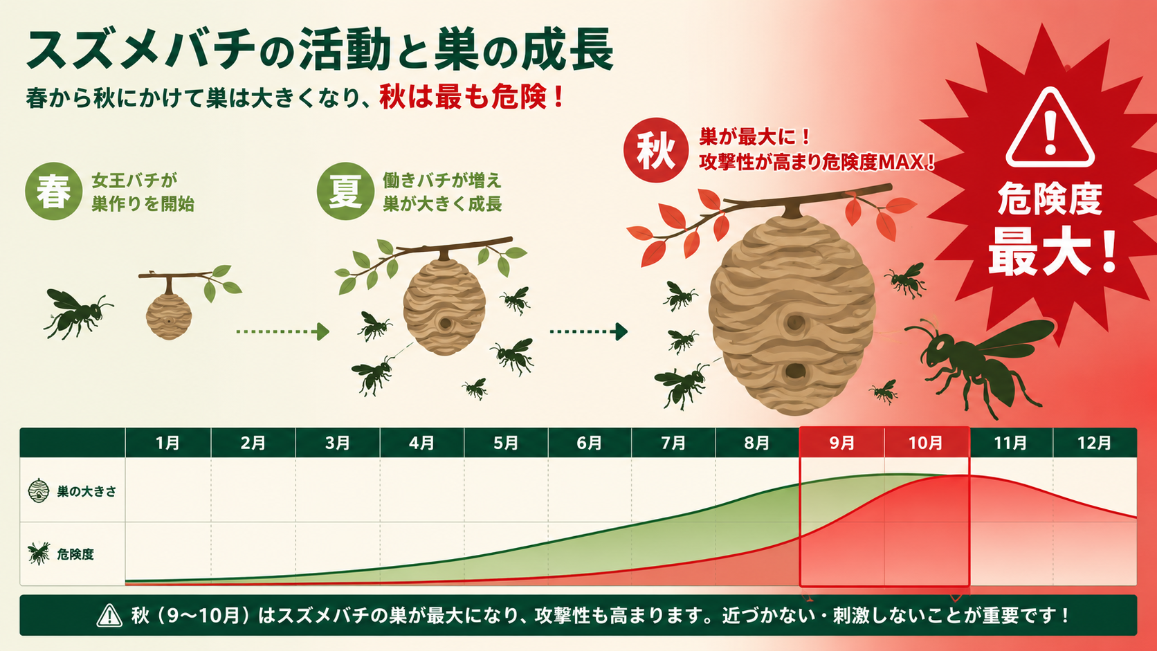 スズメバチが危険な時期はいつ？月別の活動パターンと注意事項